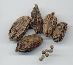 Amomum subulatum: Nepalesischer schwarzer Cardamom (Kapseln)