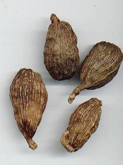 Amomum Tsao-ko: Chinesischer schwarzer Cardamom (Kapseln)