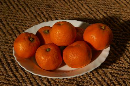 Citrus aurantium: Ripe bitter orange fruits