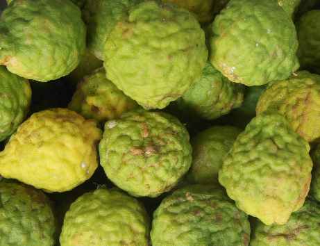 Citrus hystrix: Kaffir-Limetten auf einem Markt in Sri Lanka