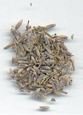 Lavandula angustifolia: Getrocknete Lavendelblüten