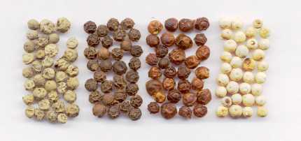 Piper nigrum: Dried peppercorns: Green, black, red and white