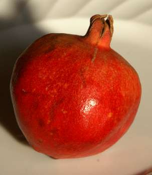 Punica granatum: Pomegranate fruit