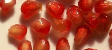 Punica granatum: Pomegranate grains