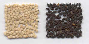 Sesamum indicum: Sesam-Samen (schwarz und weiß)
