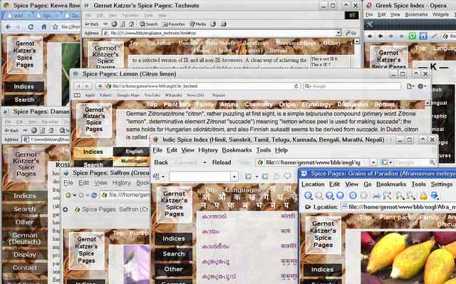 Screenshot showing different browser windows