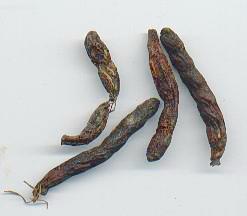 Xylopia aethiopica: Dried negro pepper fruits