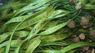 Zawngtah vegetable seen at Bara Bazar Market in Aizawl, Mizoram (North-Eastern India)