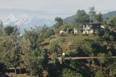 View over the Himalayas, with Nanda Devi in the backdrop, in Kasar Devi, near Almora, Uttaranchal (North India)