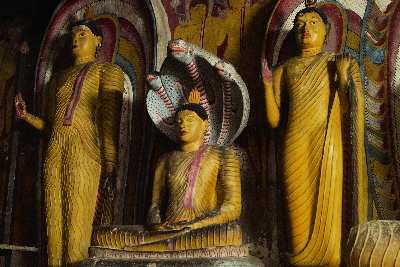Buddha statues in cave 5 of Dambulla rock temple , in Dambulla (Sri Lanka, Cultural Triangle)