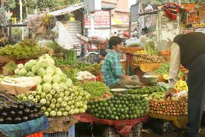 Gemüsemarkt in Jaipur (Indien/Westliches Nordindien/Rajasthan)