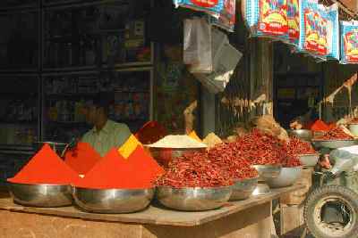 Spice Merchant, Junagadh, Gujarat (India)