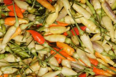 Kochi Miris (Capsicum frutescens) chili pepper at Municipal Market Kandy (Mahanuwara), Sri Lanka
