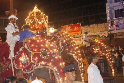 Nighttime Esala Perahera: Procession of illuminated Pattini elephants in Kandy, Hill Country, Sri Lanka