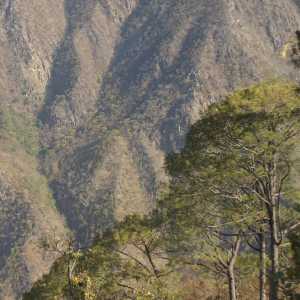 Montane landscape, view from Karnali Highway (Surkhet to Jumla, Western Nepal)