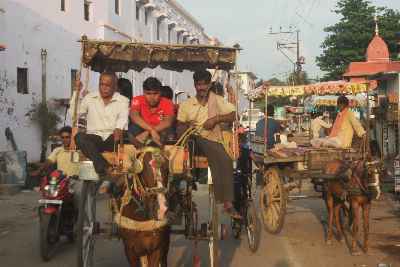 Horse-drawn Coaches (Tonga) in Rajgir, Bihar (Northern India)