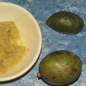 Bengali/Bangladeshi Food: Amra Jalpay Chutney (condiment made from unripe mango and ripe jalpai (Indian olive) fruits 