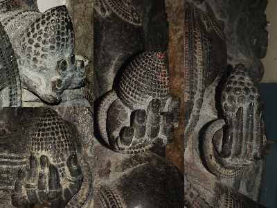 Sitaphala fruit (akin to Hoysala “corn cobs”) in the hands of Yaksha/Yakhsi protective spirits, in Jain temples (Shasana Basti, Chavundaraya Basti, Kettale Basti), Chandragiri hill, Shravanabelagola, Karnataka (India)